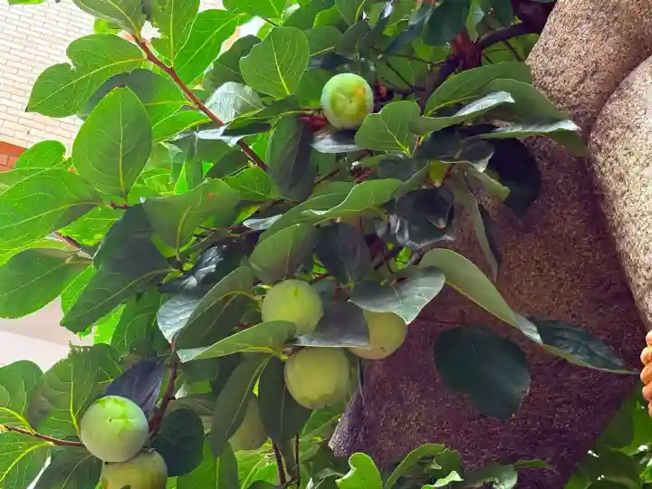 秋葉神社(東京都)
