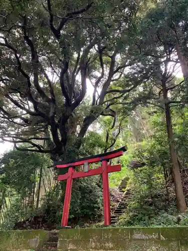 愛宕神社の鳥居