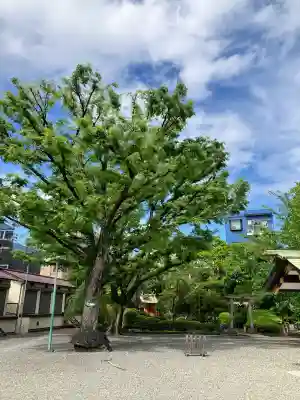 天祖諏訪神社の{uncategorized: "未分類", other: "その他", undefined: "問題あり", building: "その他建物", grave: "お墓", sacred_gate: "鳥居", guardian: "狛犬", statue: "像", buddha: "仏像", history: "歴史", nature: "自然", garden: "庭園", animal: "動物", pagoda: "塔", temizu: "手水舎", mountain_gate: "山門・神門", sanctuary: "本殿・本堂", subordinate: "末社・摂社", art: "芸術", scenery: "景色", jizo: "地蔵", ema: "絵馬", goshuin: "御朱印", omikuji: "おみくじ", items: "授与品その他", amulet: "お守り", goshuincho: "御朱印帳", eats: "食事", festival: "お祭り", votive_dance: "神楽", shichigosan: "七五三参", wedding: "結婚式", experience: "体験その他", initially: "初詣", around: "周辺", anti_infection: "感染症対策"}