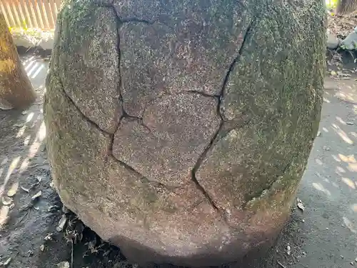 神徳稲荷神社の自然