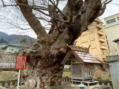 住吉神社(彌彦神社境外末社)のその他建物