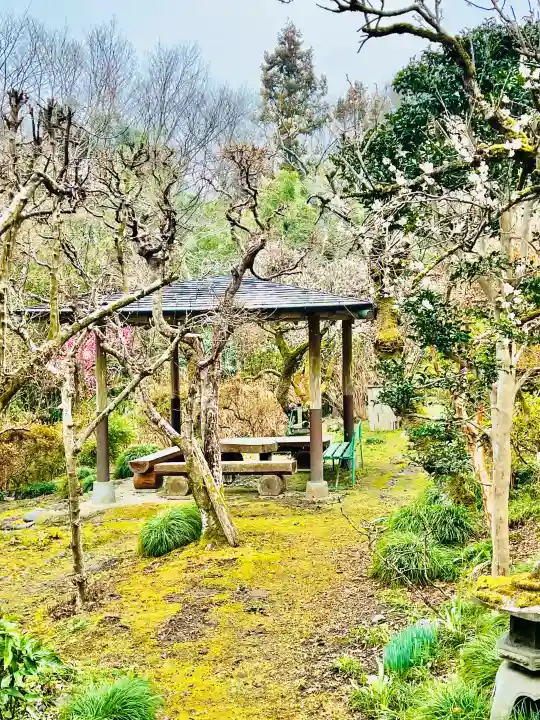 岩之上堂の{uncategorized: "未分類", other: "その他", undefined: "問題あり", building: "その他建物", grave: "お墓", sacred_gate: "鳥居", guardian: "狛犬", statue: "像", buddha: "仏像", history: "歴史", nature: "自然", garden: "庭園", animal: "動物", pagoda: "塔", temizu: "手水舎", mountain_gate: "山門・神門", sanctuary: "本殿・本堂", subordinate: "末社・摂社", art: "芸術", scenery: "景色", jizo: "地蔵", ema: "絵馬", goshuin: "御朱印", omikuji: "おみくじ", items: "授与品その他", amulet: "お守り", goshuincho: "御朱印帳", eats: "食事", festival: "お祭り", votive_dance: "神楽", shichigosan: "七五三参", wedding: "結婚式", experience: "体験その他", initially: "初詣", around: "周辺", anti_infection: "感染症対策"}