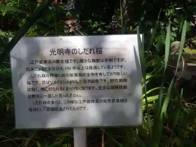 光明寺(山口県)