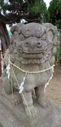 白幡神社の狛犬