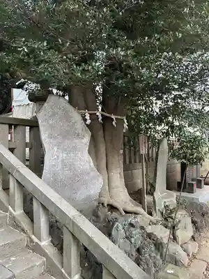 岩槻久伊豆神社(埼玉県)