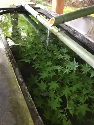 小御門神社の手水舎