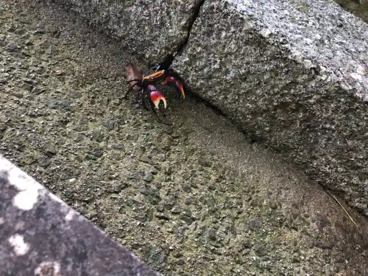 櫛玉比賣命神社の動物