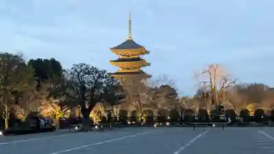 東寺（教王護国寺）(京都府)