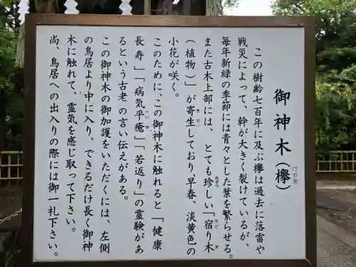 新田神社(東京都)