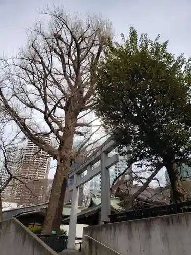 熊野神社の鳥居