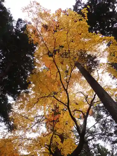 大宮五十鈴神社(長野県)
