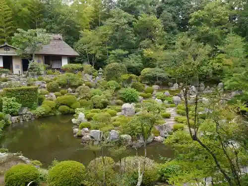 等持院の庭園