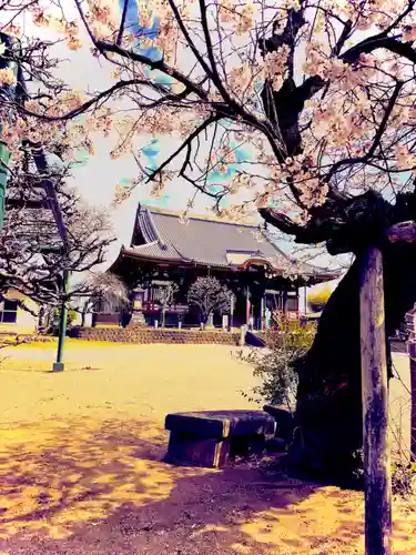 慈恩寺のその他建物