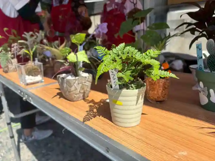 小名浜諏訪神社 ~海の鎮守様~(福島県)