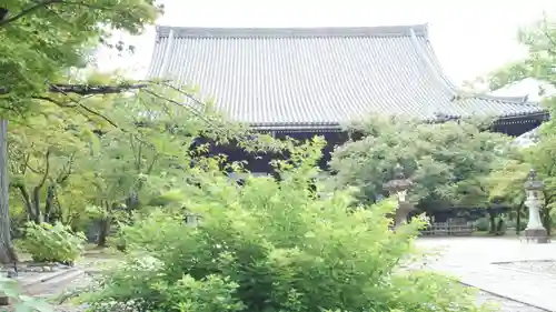 真正極楽寺（真如堂）(京都府)