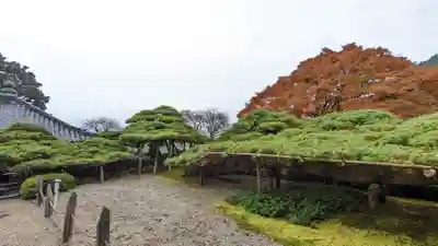 善峯寺(京都府)