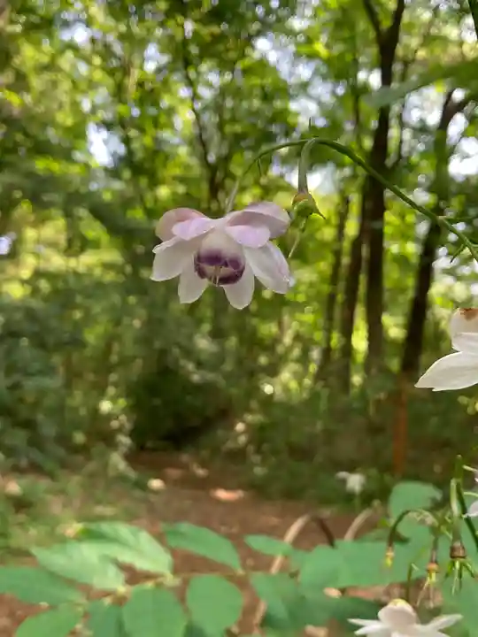 十二山神社(群馬県)
