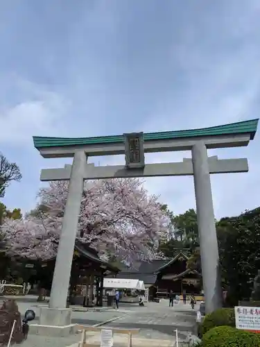 出雲大社相模分祠の鳥居