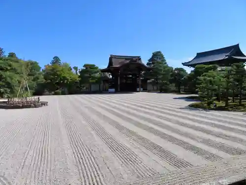 仁和寺の庭園