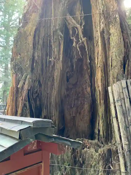 日光東照宮(栃木県)