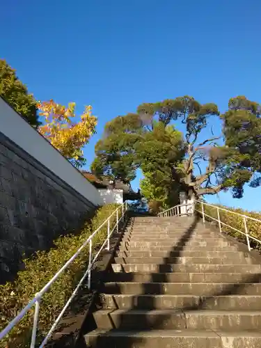 本覺寺(神奈川県)
