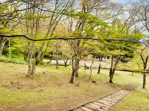 土津神社｜こどもと出世の神さまの自然
