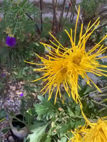 富部神社の自然