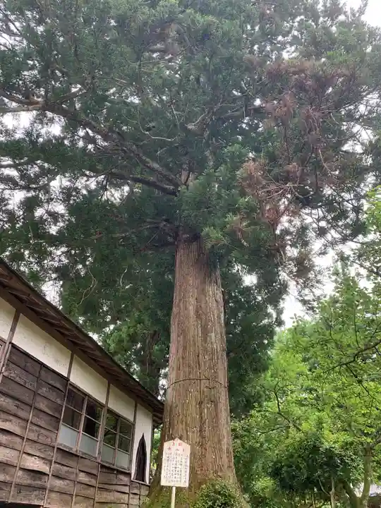 妙厳寺のその他建物