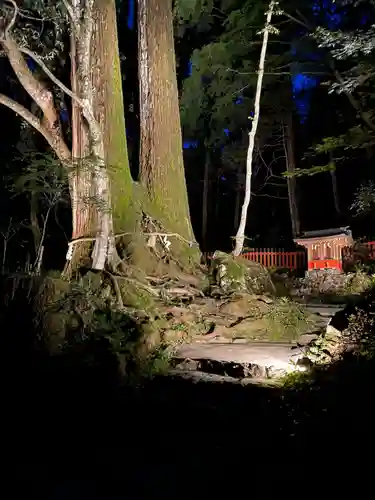 貴船神社奥宮の自然