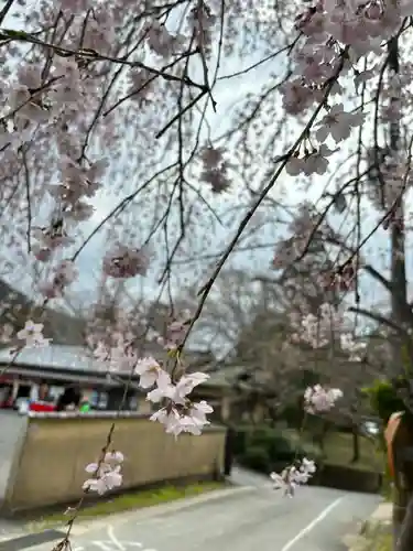 毘沙門堂門跡(京都府)
