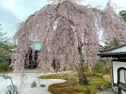 高台寺（高台寿聖禅寺・高臺寺）の庭園