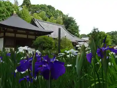 天台宗　長窪山　正覚寺のその他建物