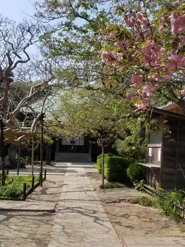 極楽寺（霊鷲山感應院極楽律寺）の本殿・本堂