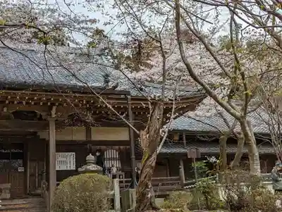 勝持寺（花の寺）(京都府)