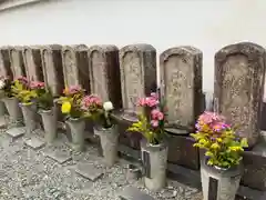 花岳寺のお墓