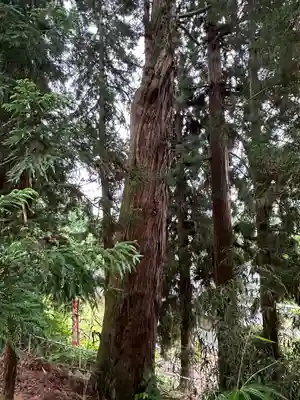 雲洞庵 芹沢観音(山形県)