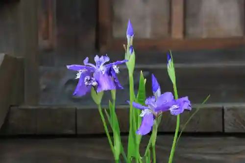 阿邪訶根神社の授与品その他