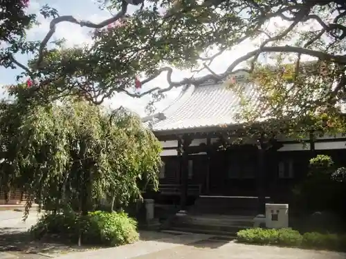 本興寺の本殿・本堂