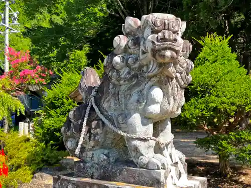 槻本神社の狛犬