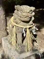 亀之森住吉神社の狛犬