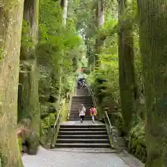 箱根神社の建物その他