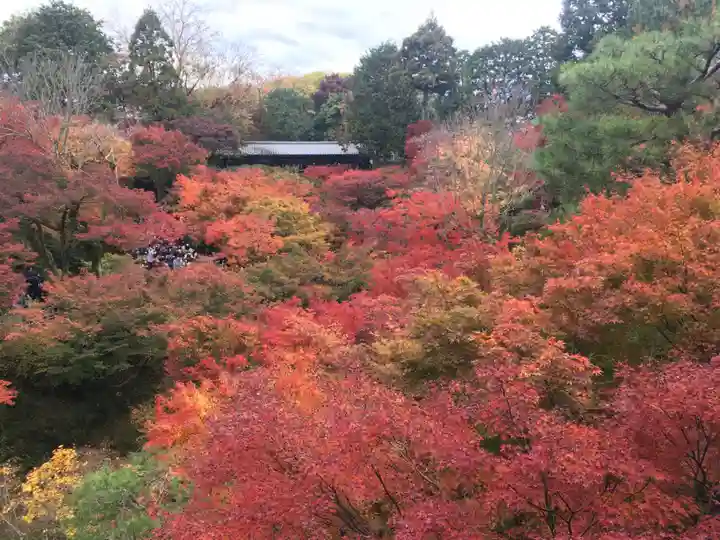 東福禅寺(東福寺)の景色