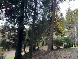 大宮温泉神社(栃木県)(2023年10月31日(火) 07時29分53秒投稿)