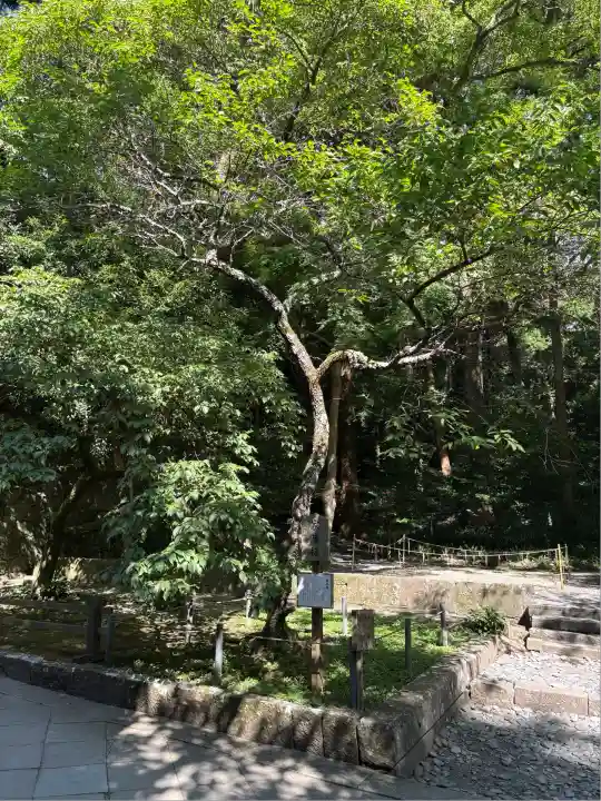 久能山東照宮(静岡県)