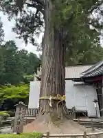 北口本宮冨士浅間神社(山梨県)