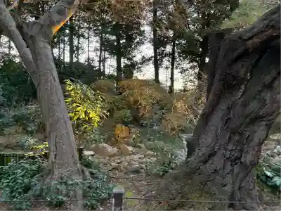 岩槻久伊豆神社(埼玉県)