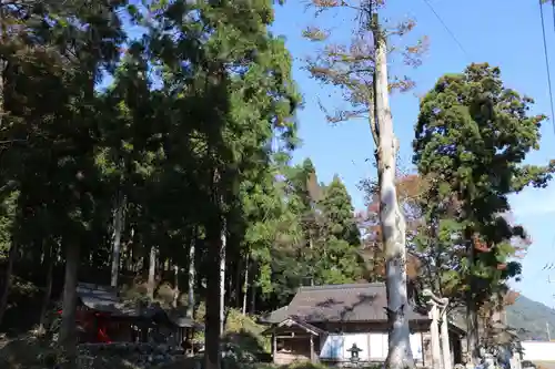 村井八幡神社の建物その他