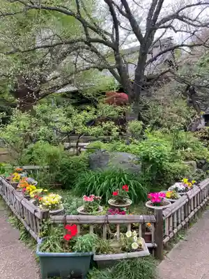 薬王寺(神奈川県)