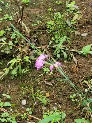 不動寺(埼玉県)