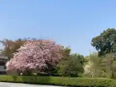 櫻木神社(千葉県)